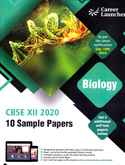 mathematics-cbse-xii-2020-sample-papers-10