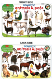 educational-table-mats-animals-and-pets