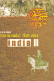 the-wonder-that-was-india-ii-