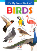 birds